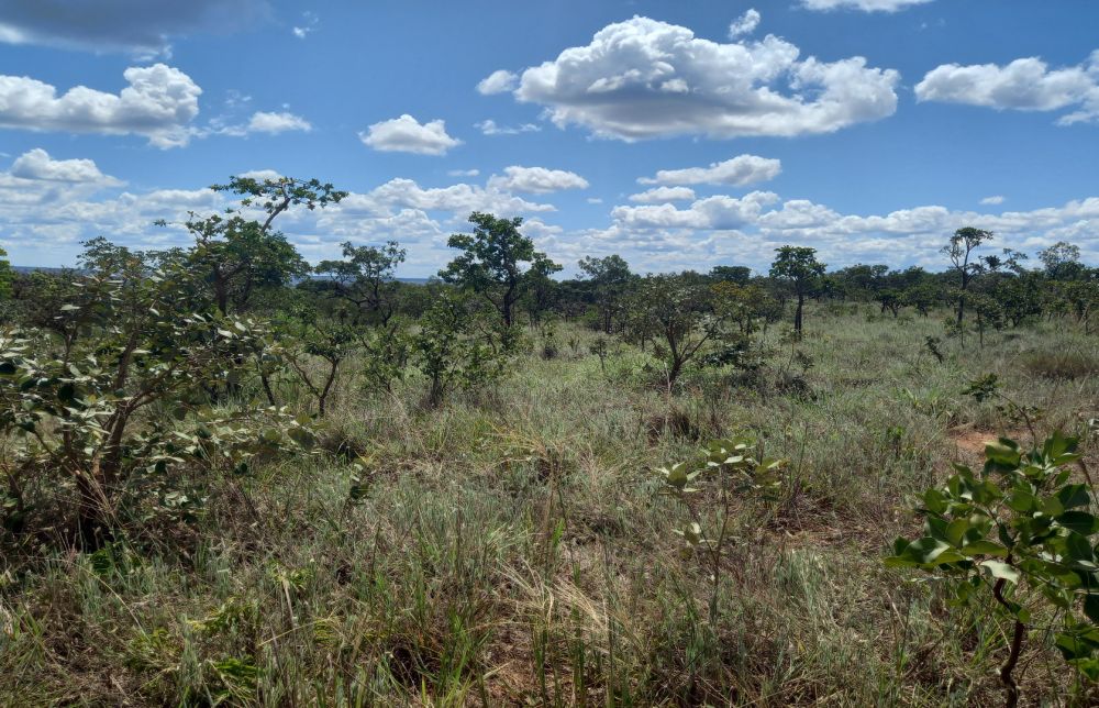 properties